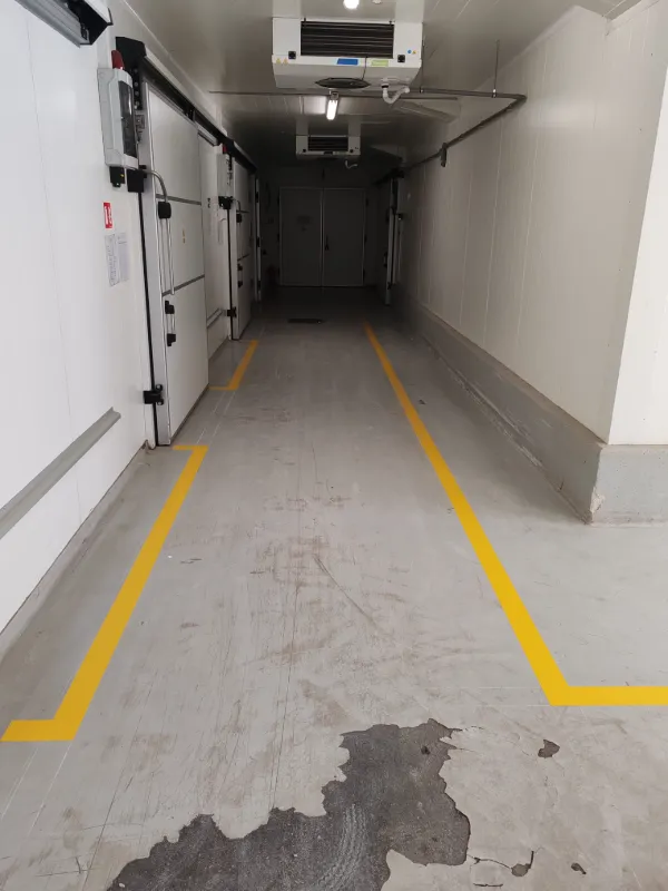 Žute linije transportnih puteva iscrtane ispred vrata hladnjače u skladištu
